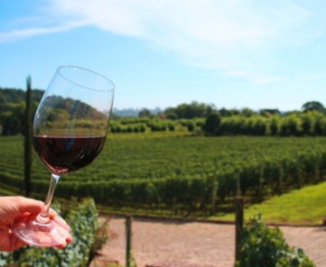 vinho-7.jpg